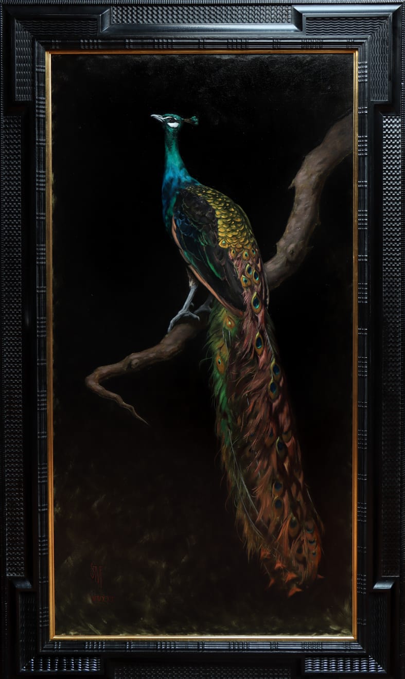 Sarah Margaret Gibson, Portrait of a Peacock, 2022
