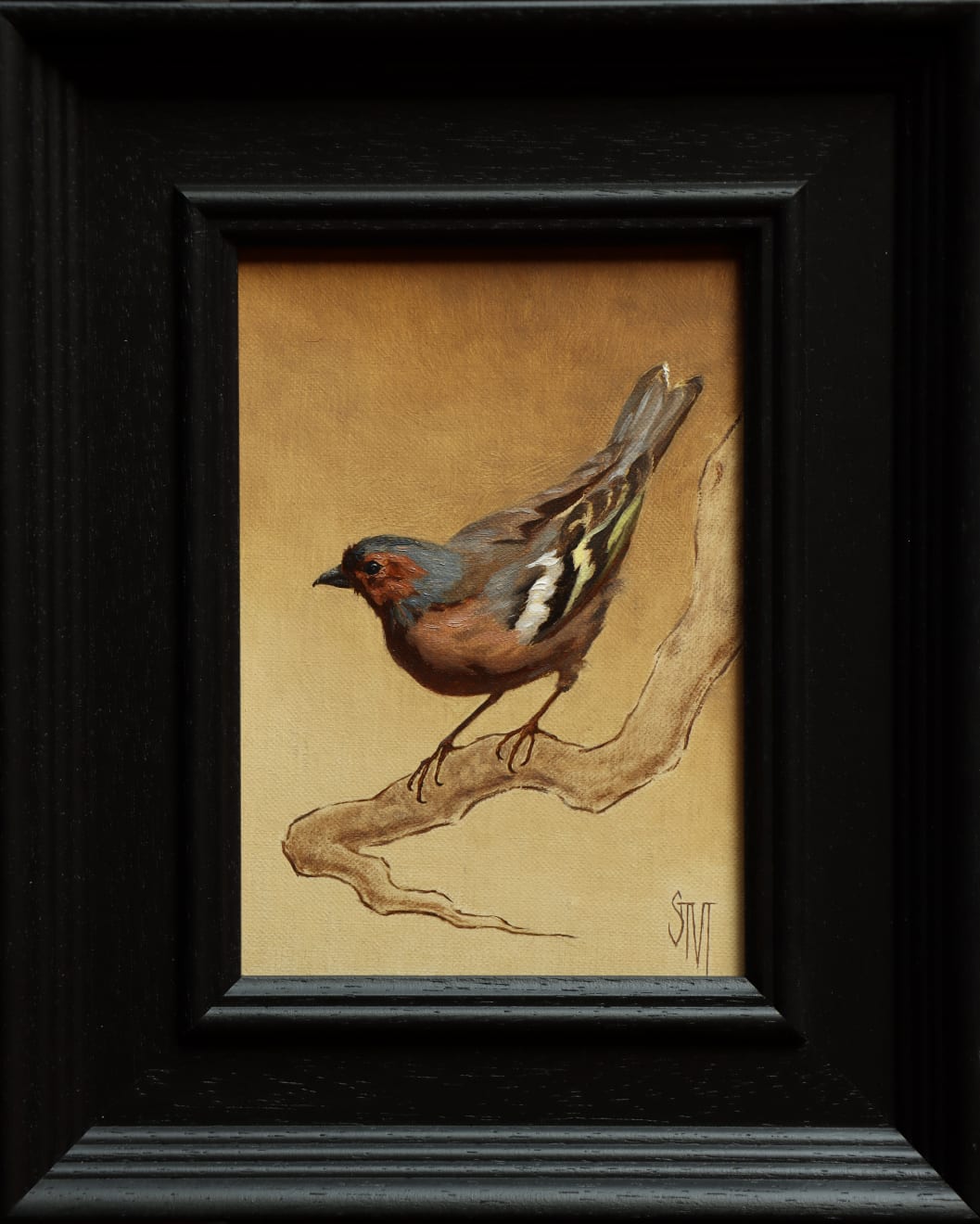 Sarah Margaret Gibson, Chaffinch in the Early Morning, 2024