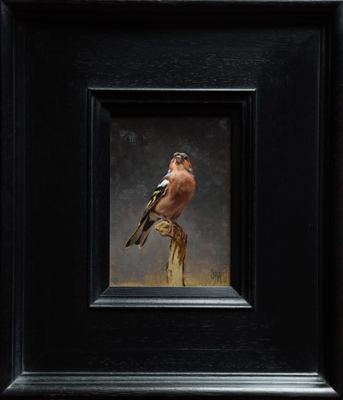 Sarah Margaret Gibson, Chaffinch at Dusk, 2023