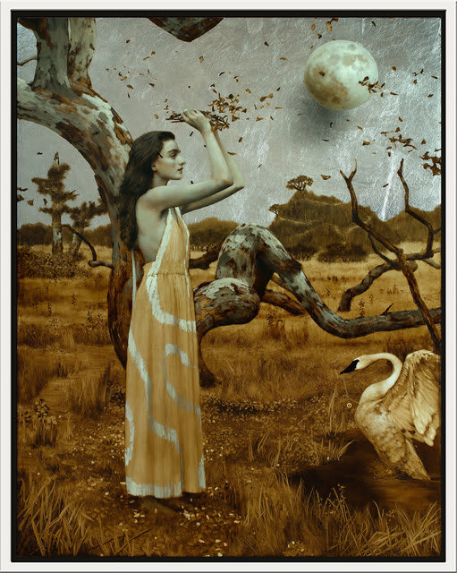 Brad Kunkle, Coronation (The Swan), 2020