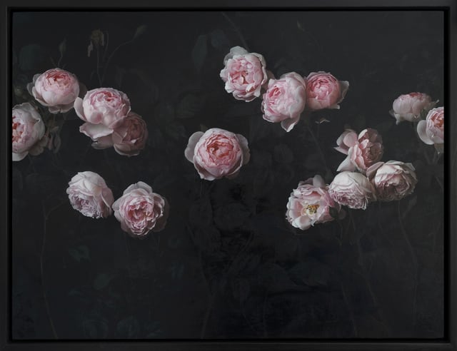 Jane Beharrell, Pink Roses, 2021