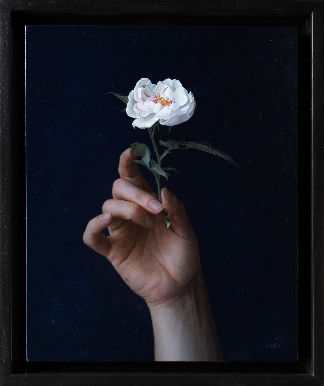 Jane Beharrell, Hand with White Roses, 2024