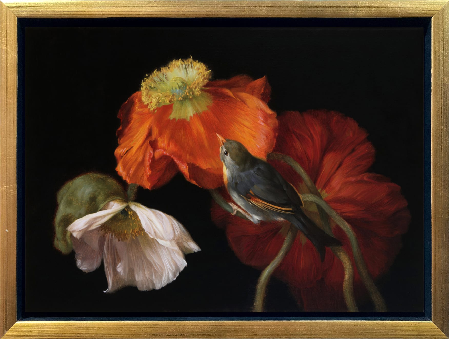 Anhelina Holembivska, Island Poppies and Nightingale II, 2023