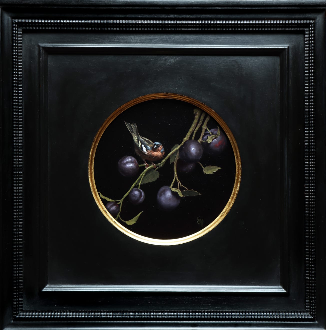 Sarah Margaret Gibson, Chaffinch Perched upon a Plum Branch, 2023