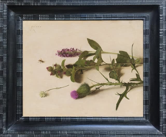 Carlo Russo, From the Garden and the Roadside, 2019