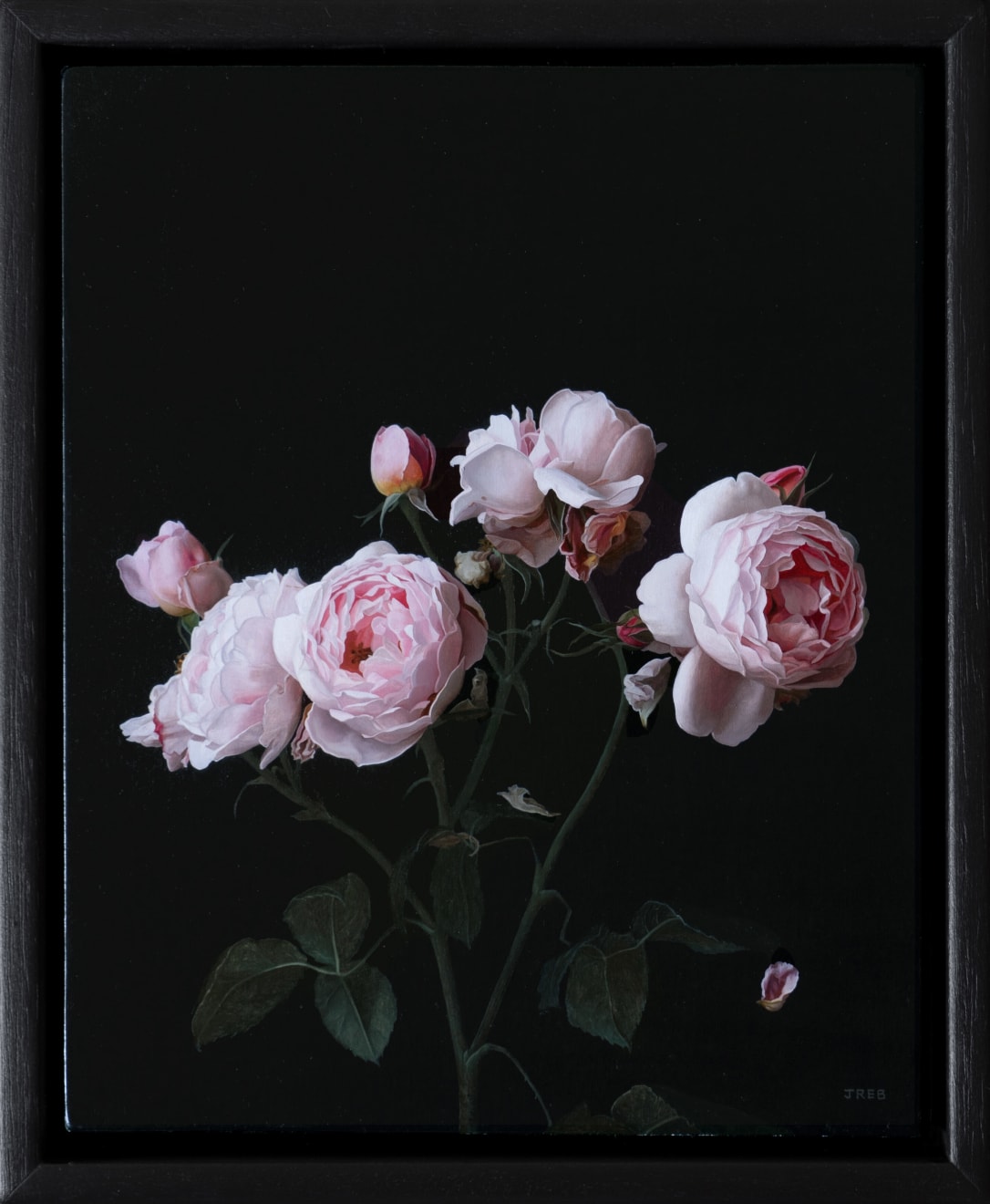 Jane Beharrell, Pink Roses, 2023