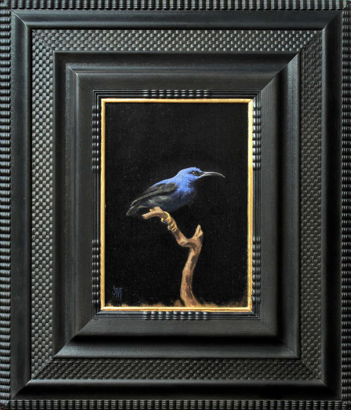 Sarah Margaret Gibson, Azure Honeycreeper, 2020