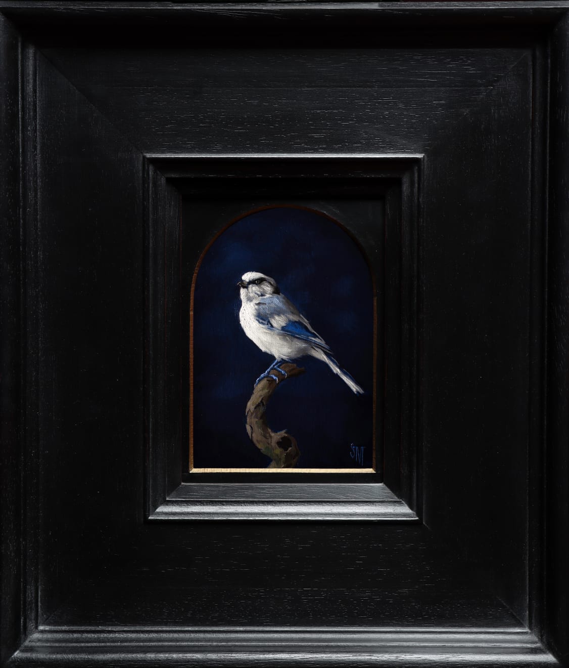 Sarah Margaret Gibson, Symphony in Blue: Portrait of an Azure Tit, 2021