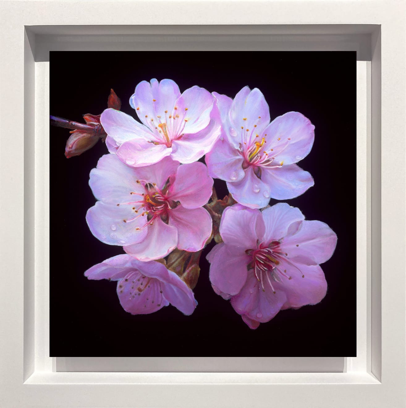 Daniel Bilodeau, Cherry Blossoms, 2023
