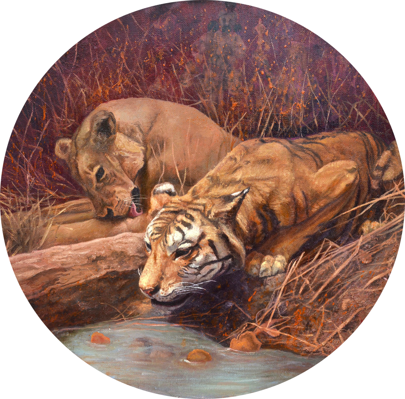 Miguel Escobar Uribe, Tiger, 2022