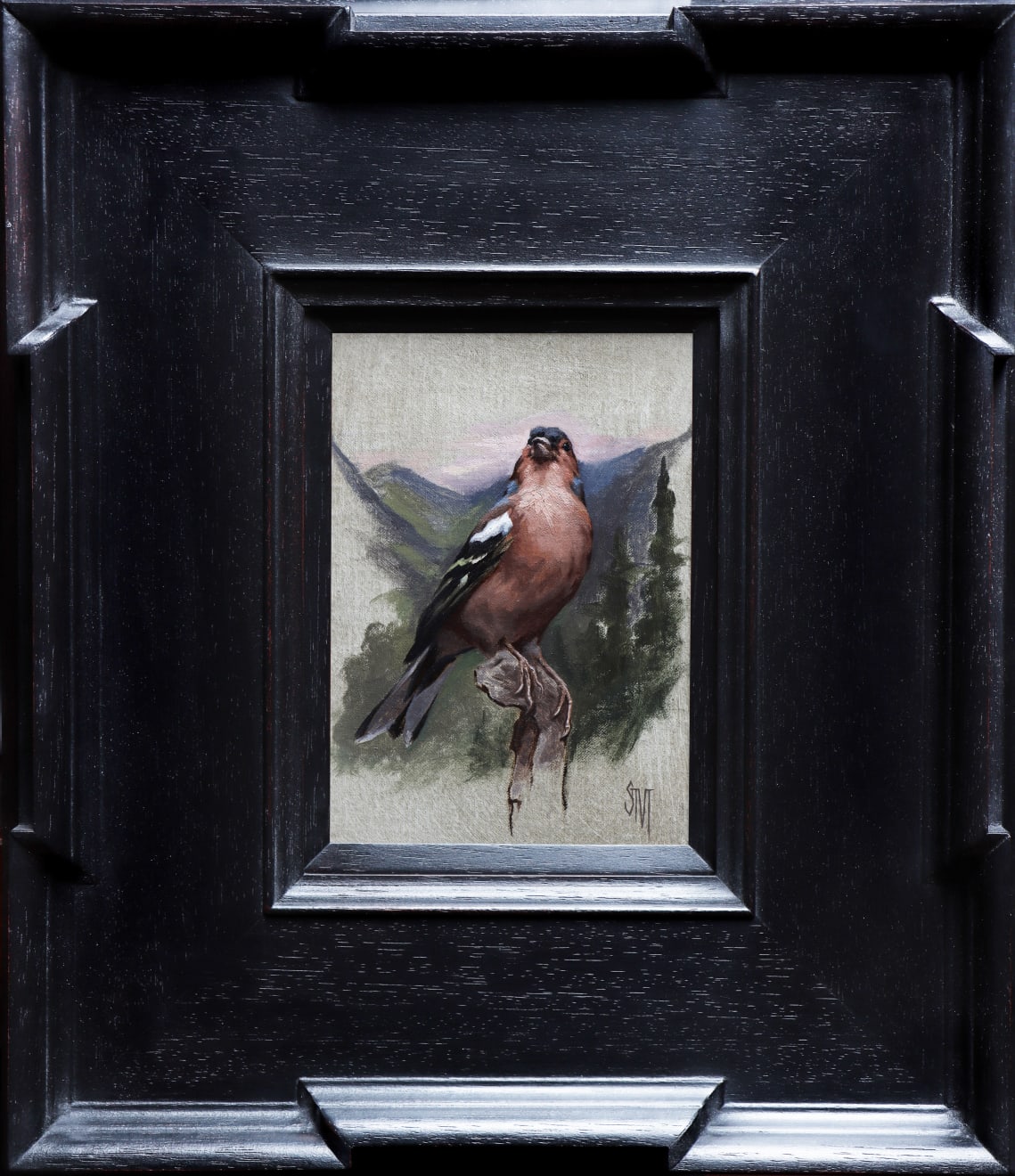 Sarah Margaret Gibson, Chaffinch in the Scottish Highlands, 2022