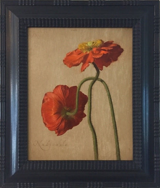 Carlo Russo, Papaver Nudicaule (Iceland Poppy), 2021