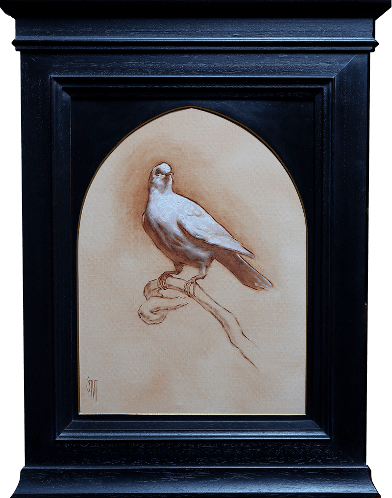 Sarah Margaret Gibson, Portrait of a Dove, 2022
