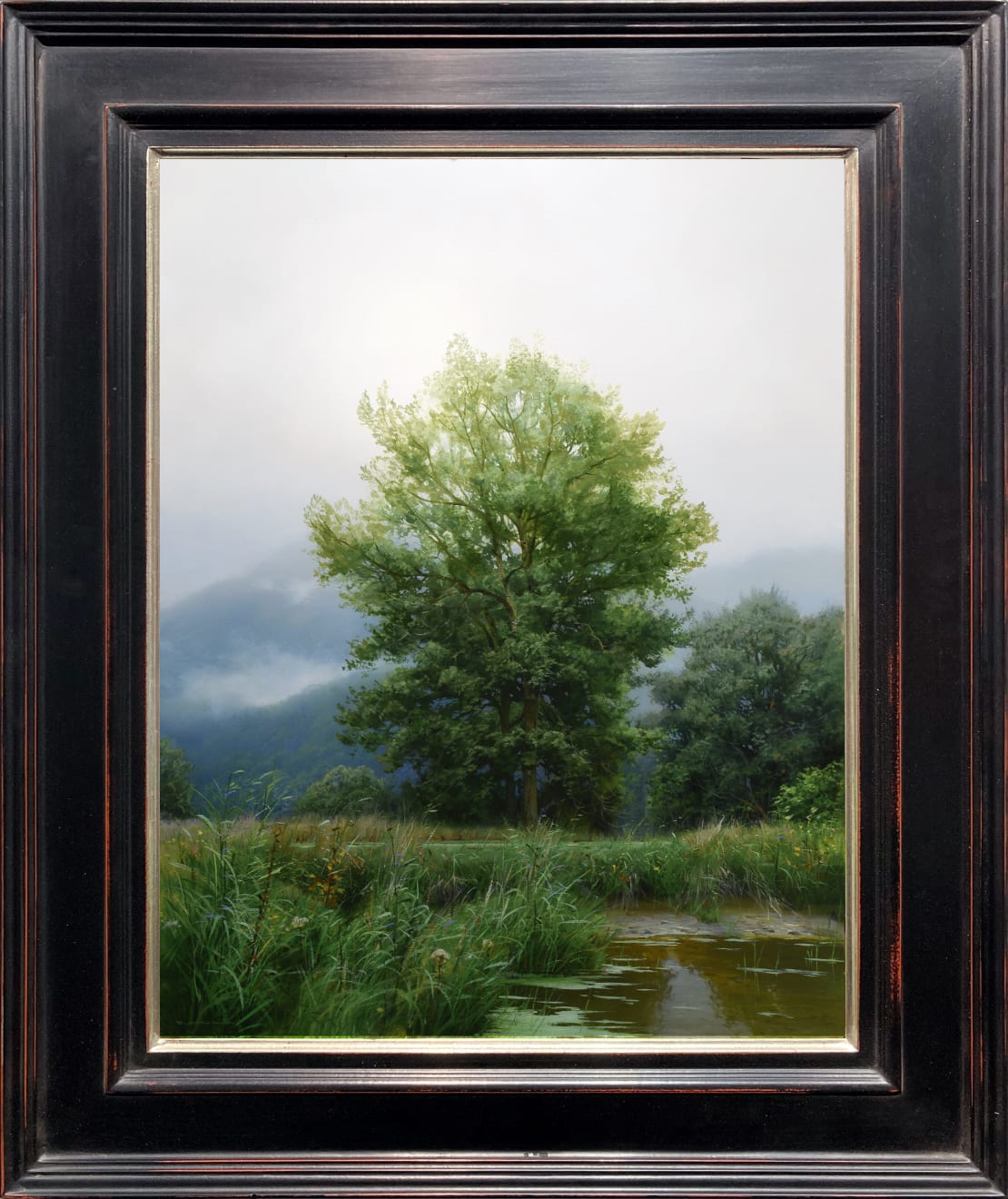 Renato Muccillo, North of Nicomen, 2023