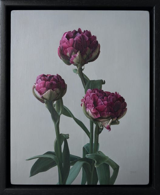 Jane Beharrell, Double Tulips, 2021