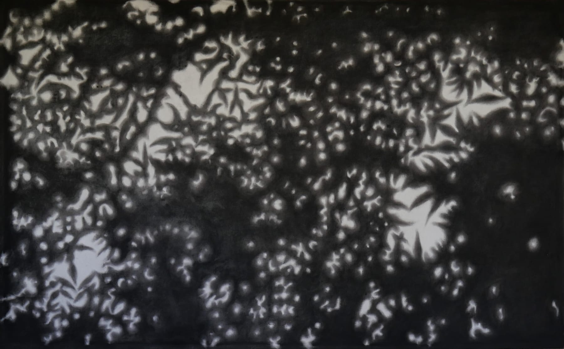 Anusapati, Shadow Series #18, 2022