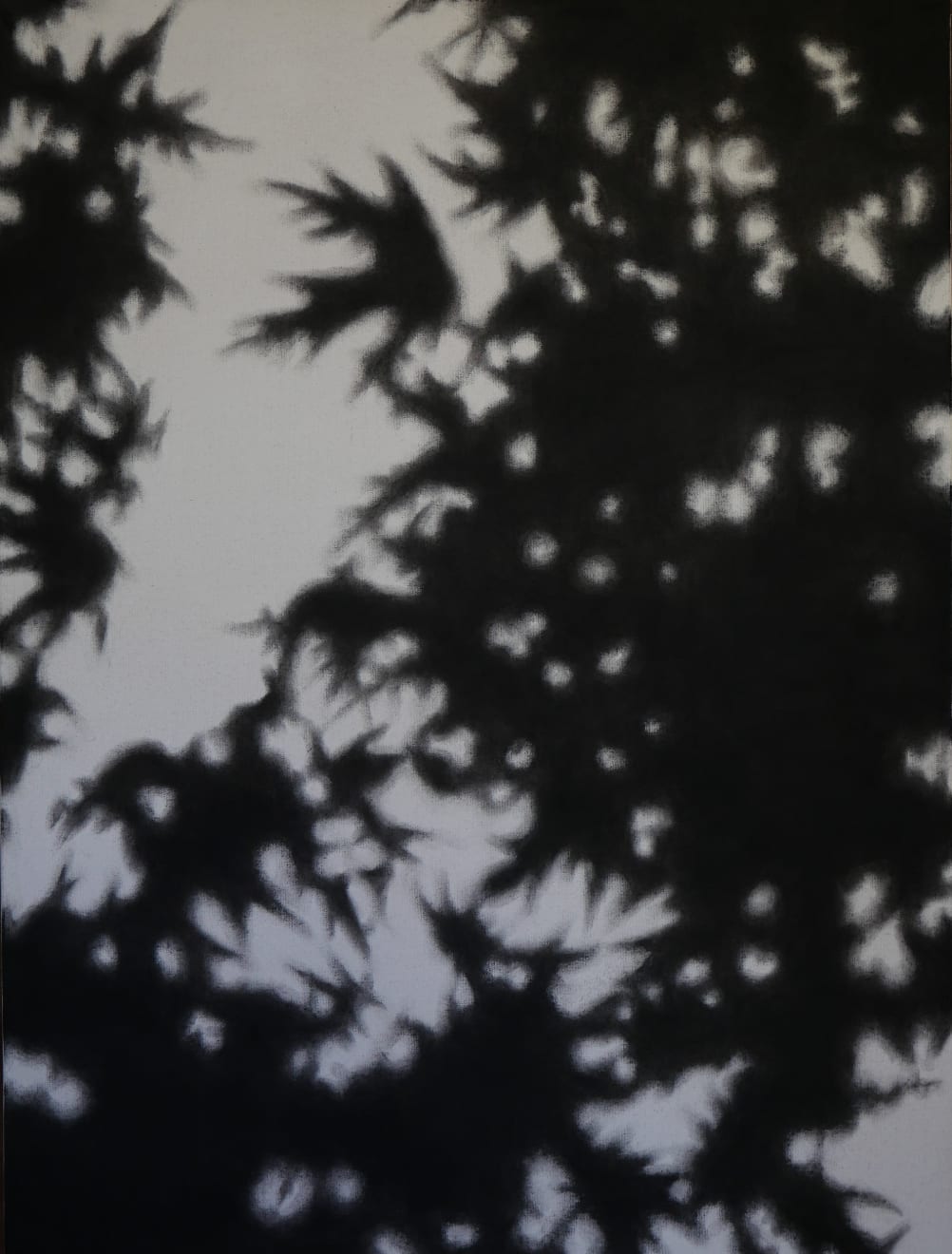 Anusapati, Shadow Series #16, 2022