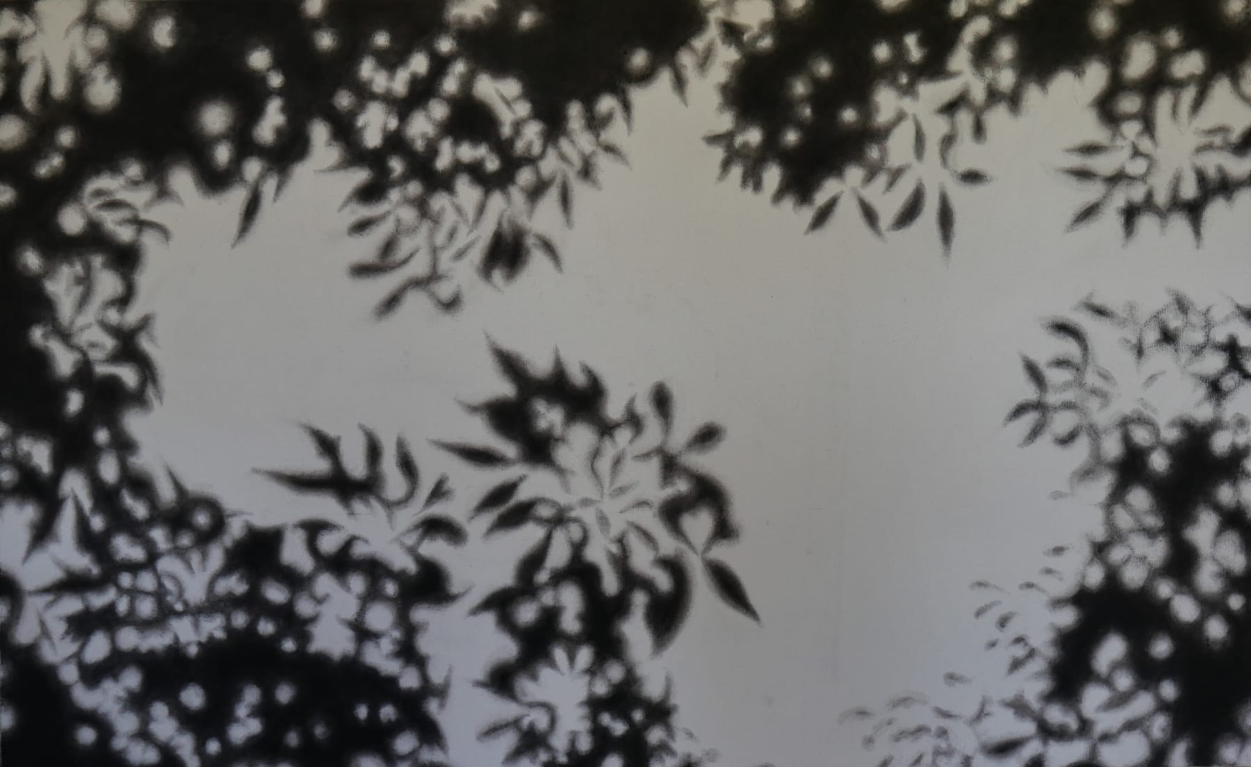 Anusapati, Shadow Series #19, 2022