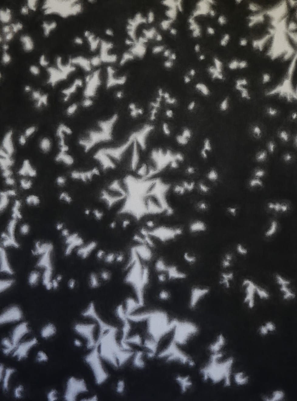 Anusapati, Shadow Series #15, 2022