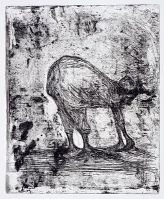 Aban Raza, ot kasabing Edition 3+ APs 2018