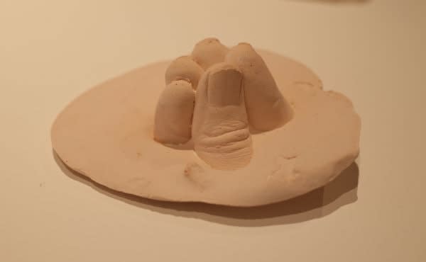 Saviya Lopes, Vessels of care