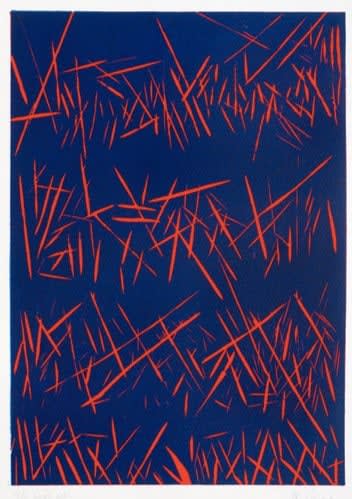 Aban Raza, An uprising is brewing Edition 8 + APs , 2018