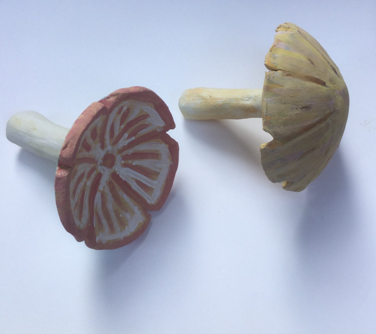 Ed Hill, Mushroom Specimens Two, 2019