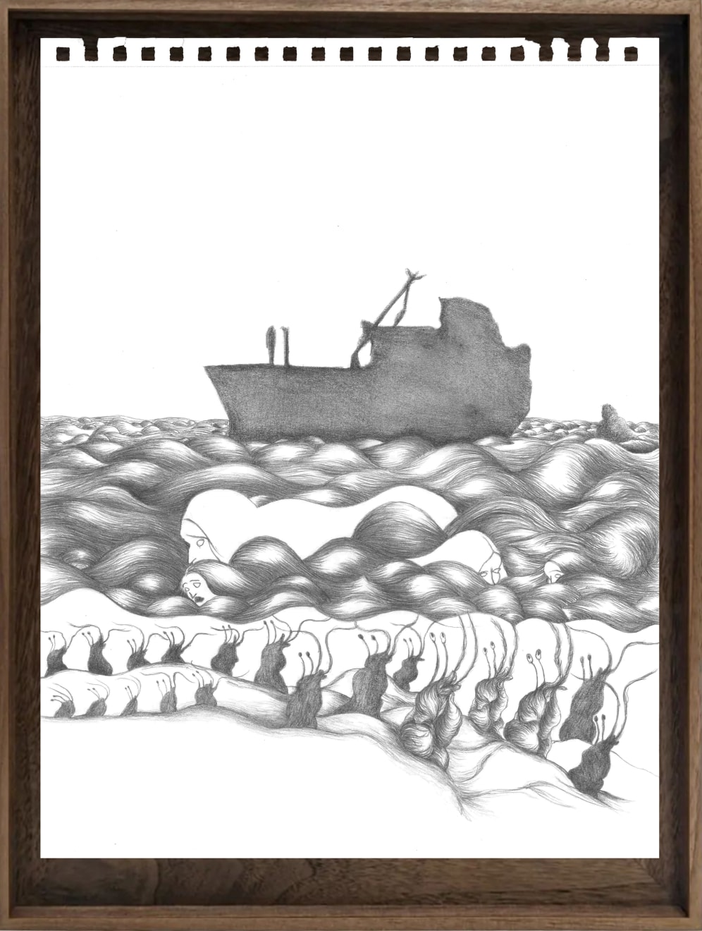 Naomi Workman, Pacific Mole Crab, 2024