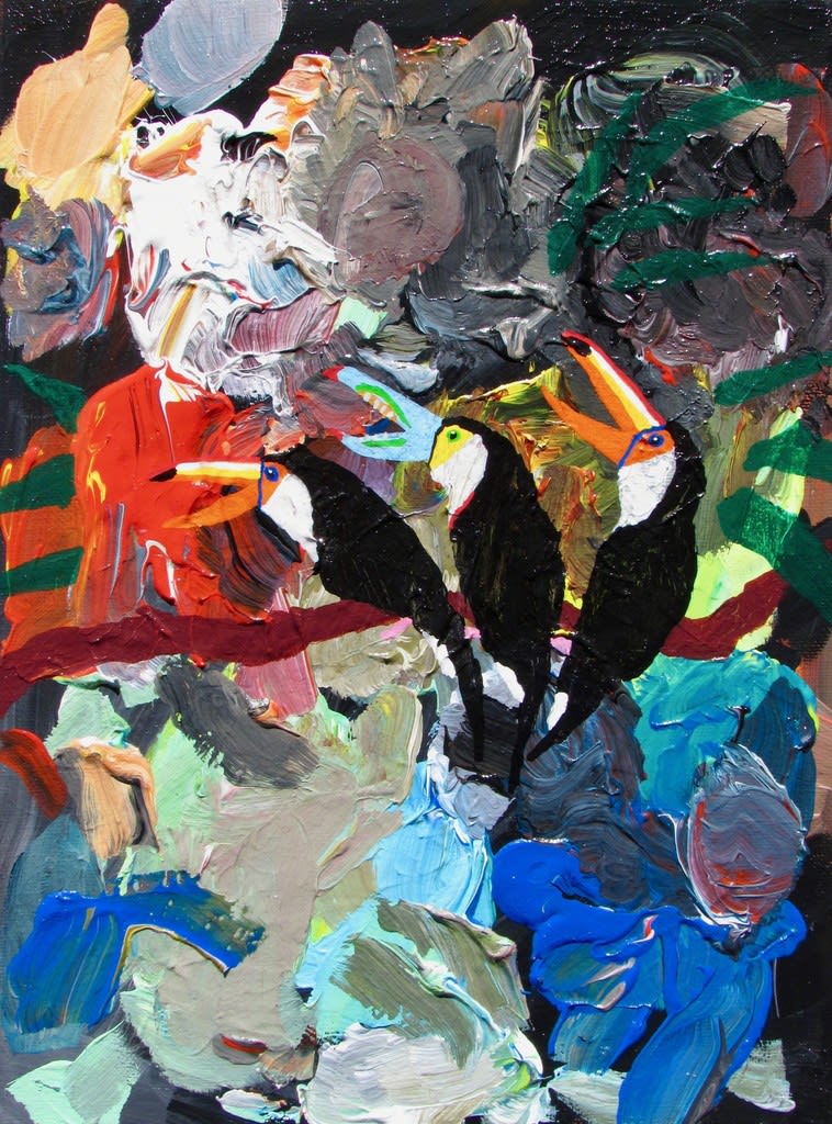 Alexander Paulus, A toucan threesome, 2018