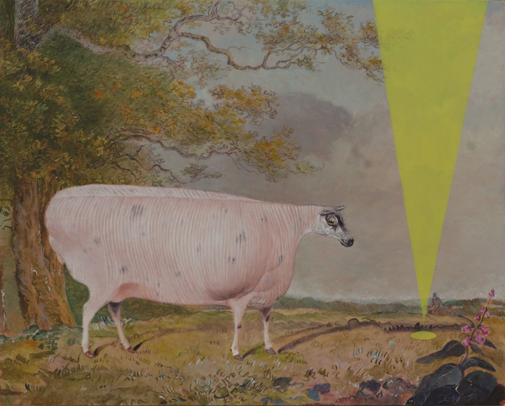 Morwenna Morrison, Strange Encounters, 2019