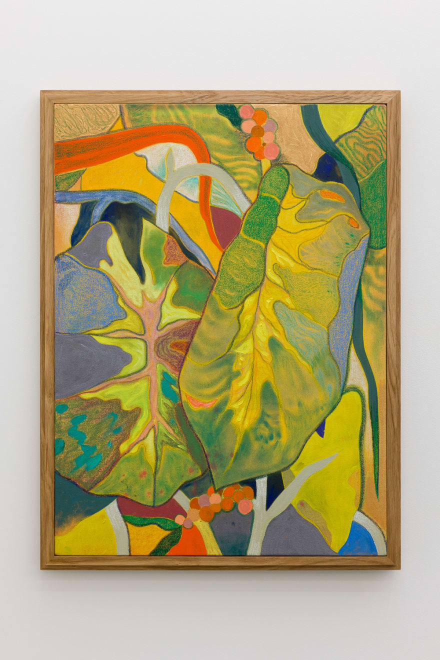 Tom Jean Webb, Where is my jungle, 2023