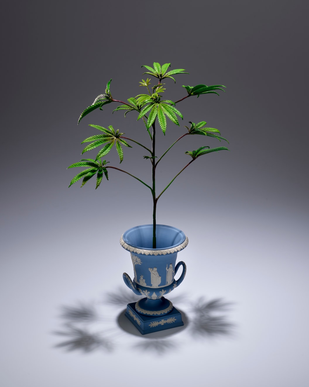 Rodrigues Goncalves, Propagation, 2023-25