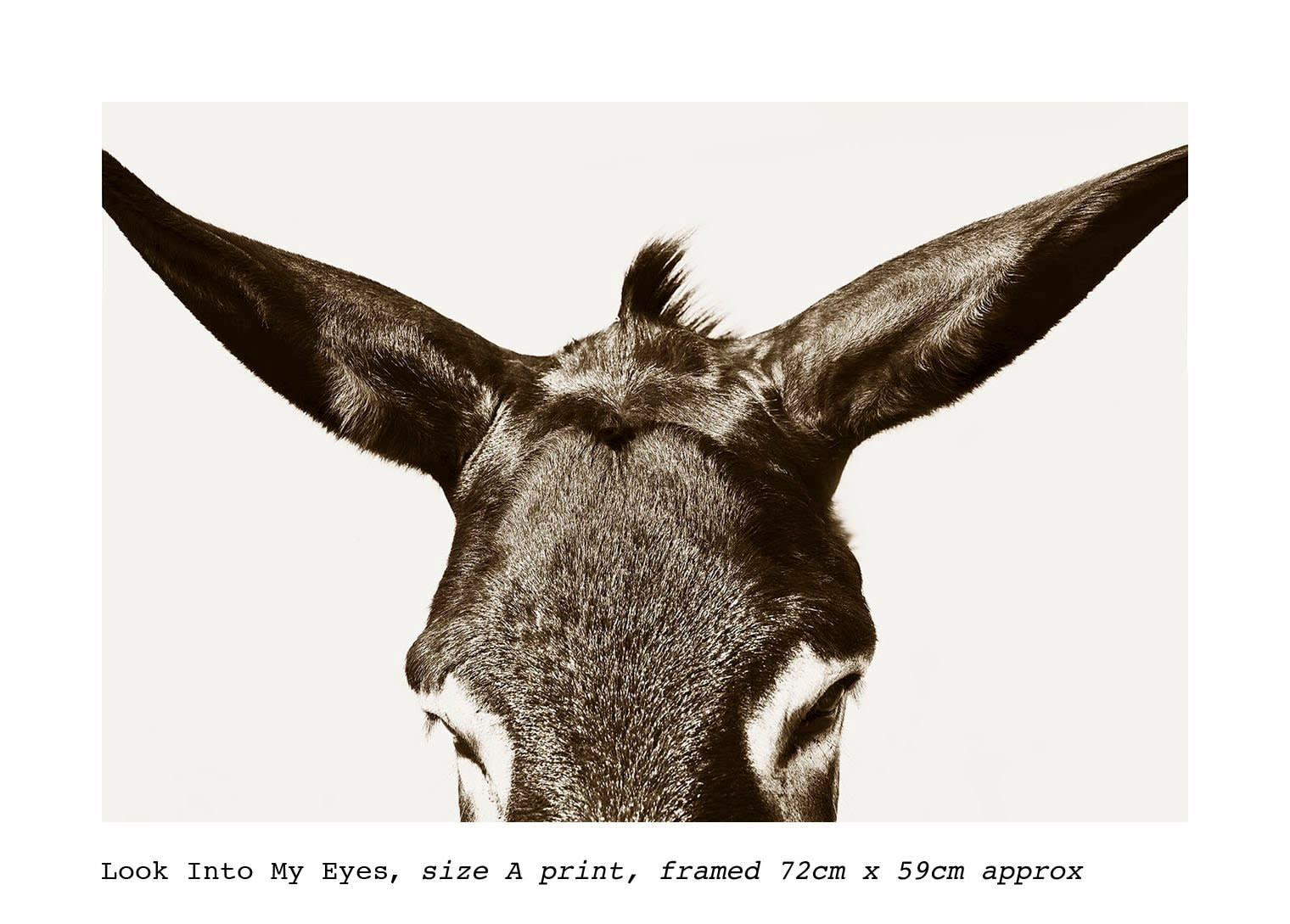 Stuart Redler, Look Into My Eyes, Greece