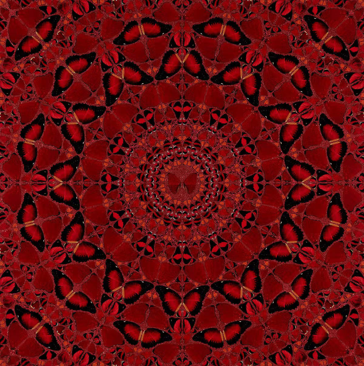 Damien Hirst, H10-4 Suiko