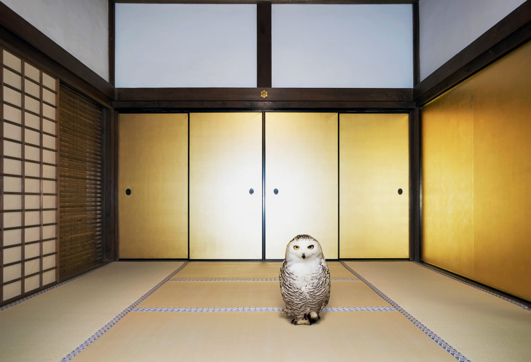 Karen Knorr, Emptiness No Other Than Form, Daitoku-ji, Obai-in, Kyoto, 2018