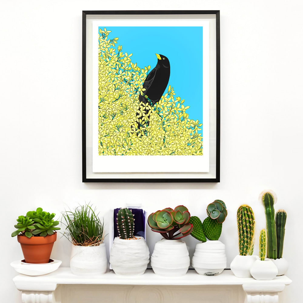 Fran Giffard, Blackbird and Forsythia