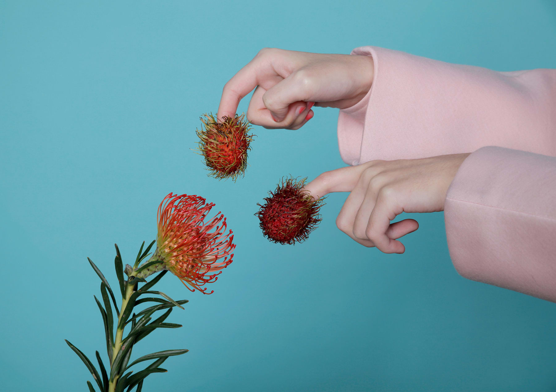 Ting Cheng, Hello Hello, 2016