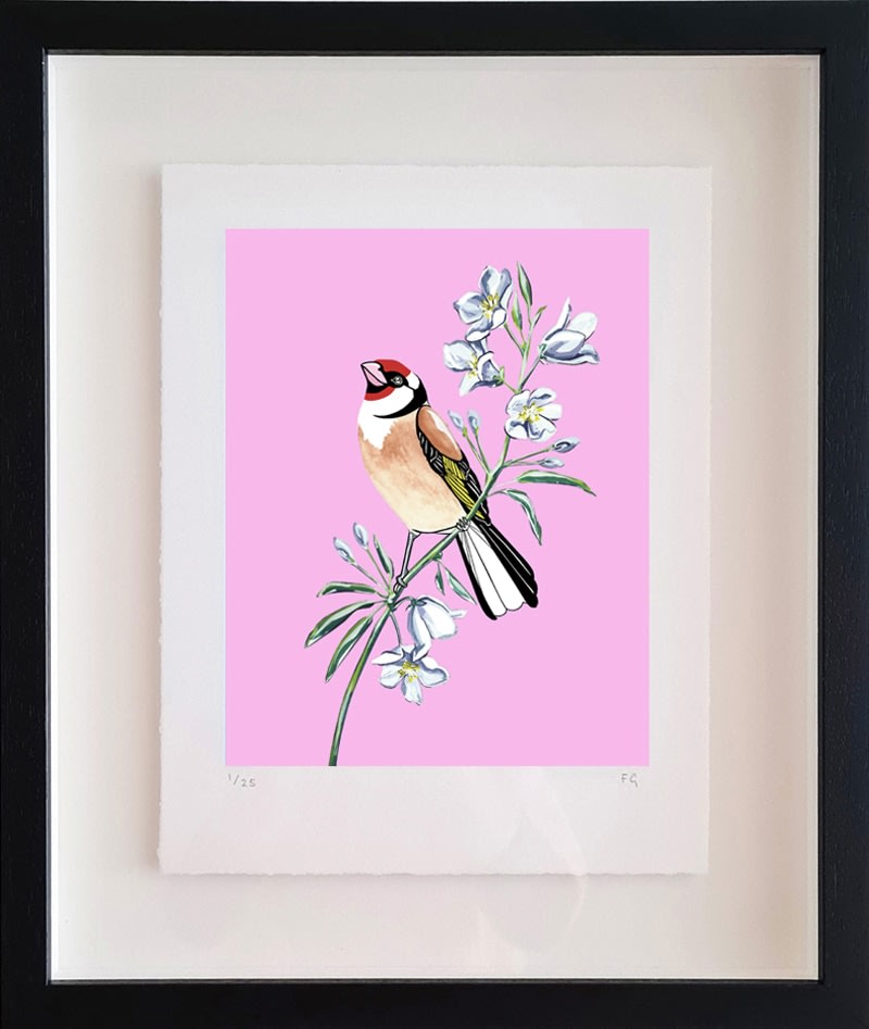 Fran Giffard, Goldfinch and Bell Flower