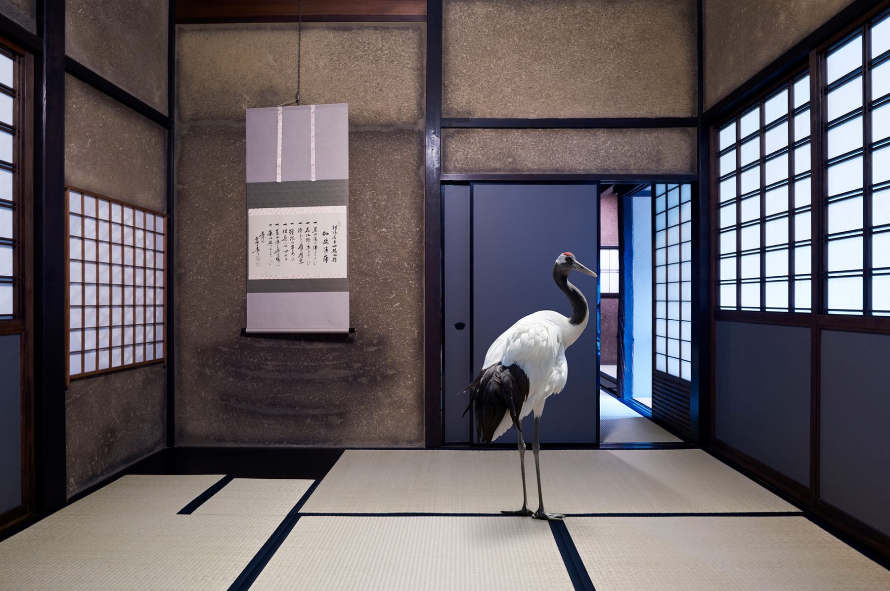 Karen Knorr, Finding For Dhama, Daitoku-ji, Obai-in, Kyoto, 2018