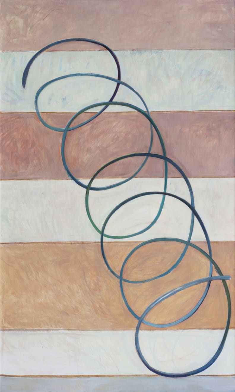 翟倞 Zhai Liang, 历史总是螺旋上升 History is always spiraling, 2017