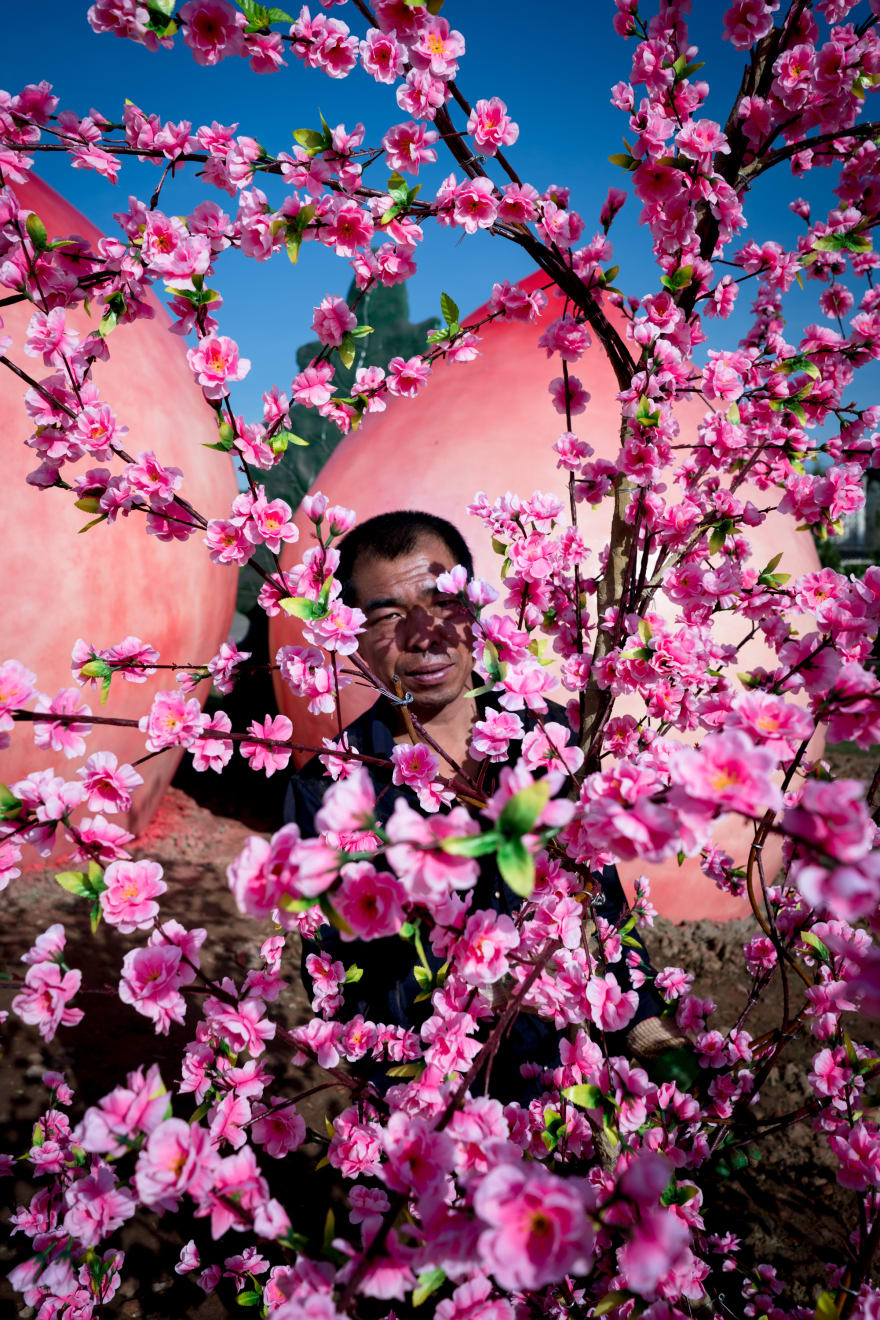 冯立 Feng Li, 桃花 | Peach Blossom, 2017