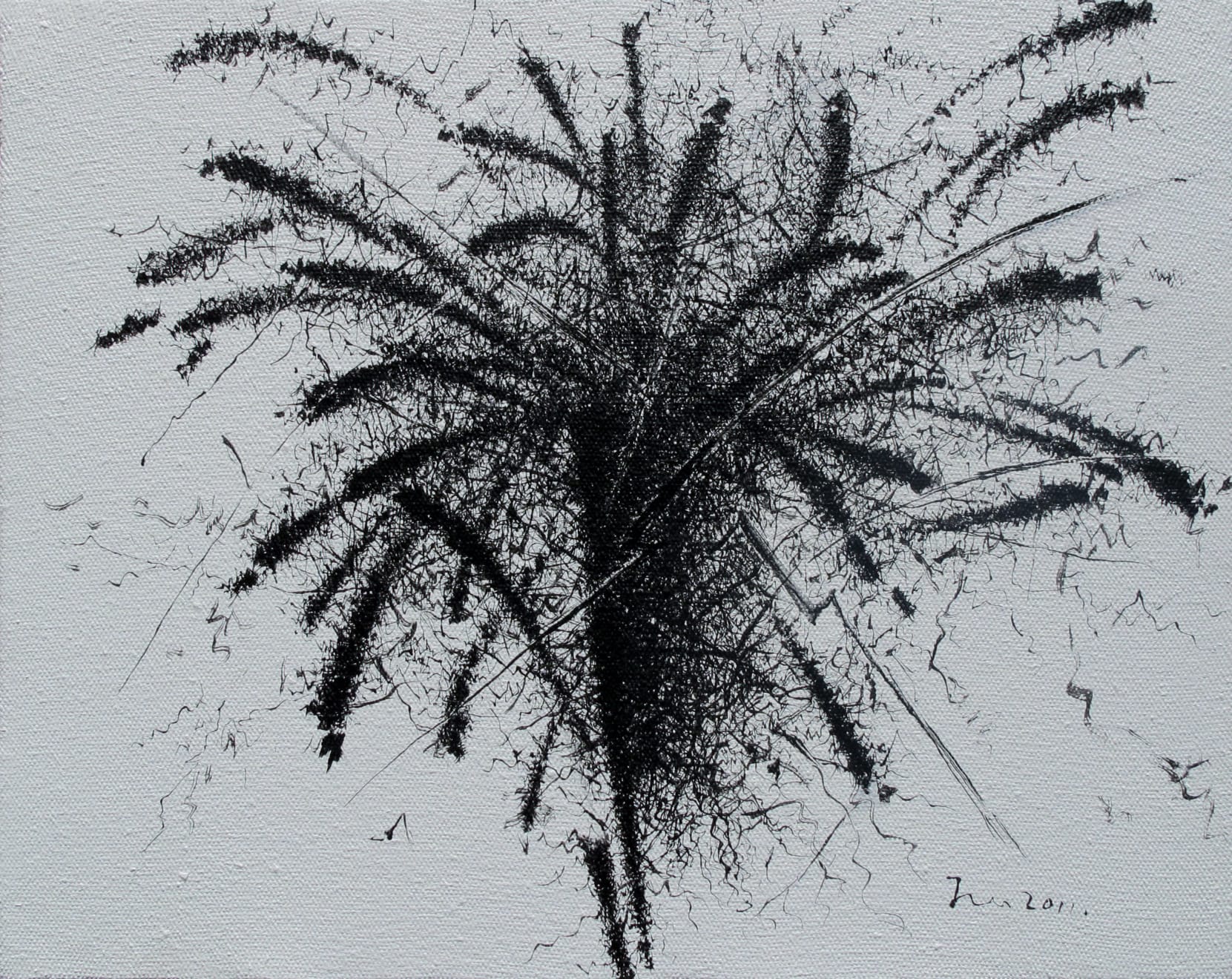 王俊 Wang Jun, 2011