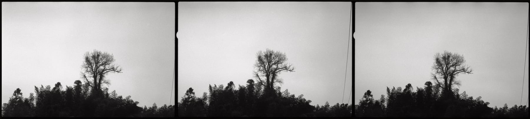 陈秋林 Chen Qiulin, 暮霭 Fading Light, 2014 - 2016