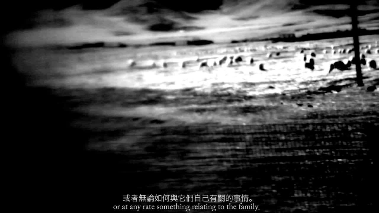 冯冰伊 Feng Bingyi, 关于赫尔迦及其他 About Helga and More , 2013