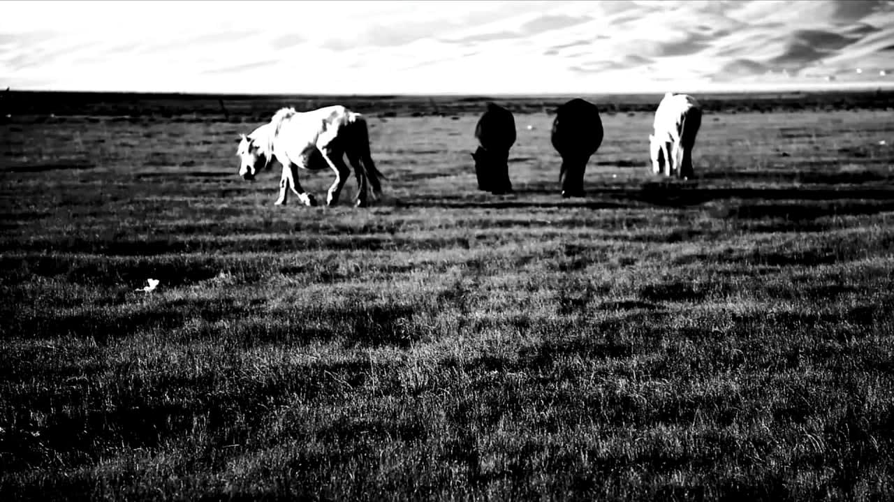冯冰伊 Feng Bingyi, 关于赫尔迦及其他 About Helga and More , 2013