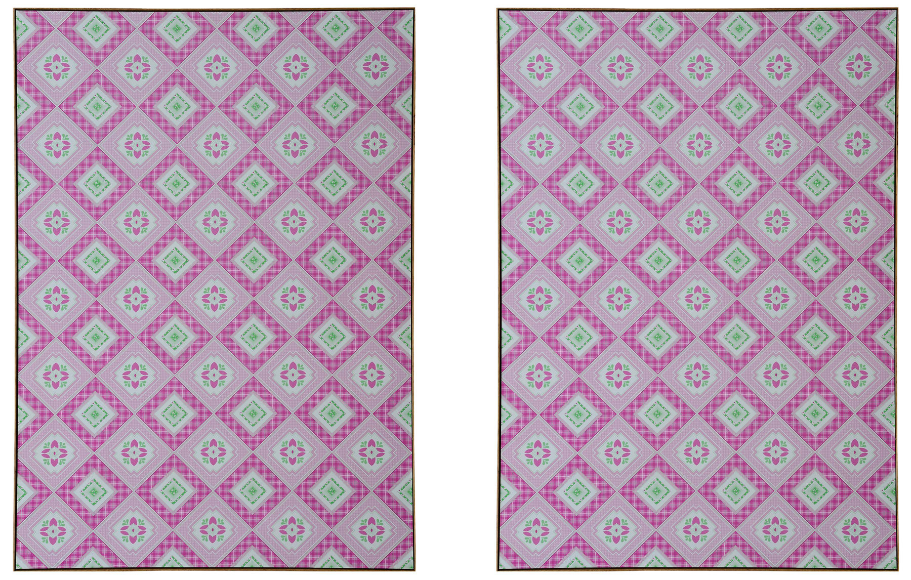 张晓 Zhang Xiao, 一个是艺术家,一个是摄影师 | One as Artist, One as Photographer, 2016-2017