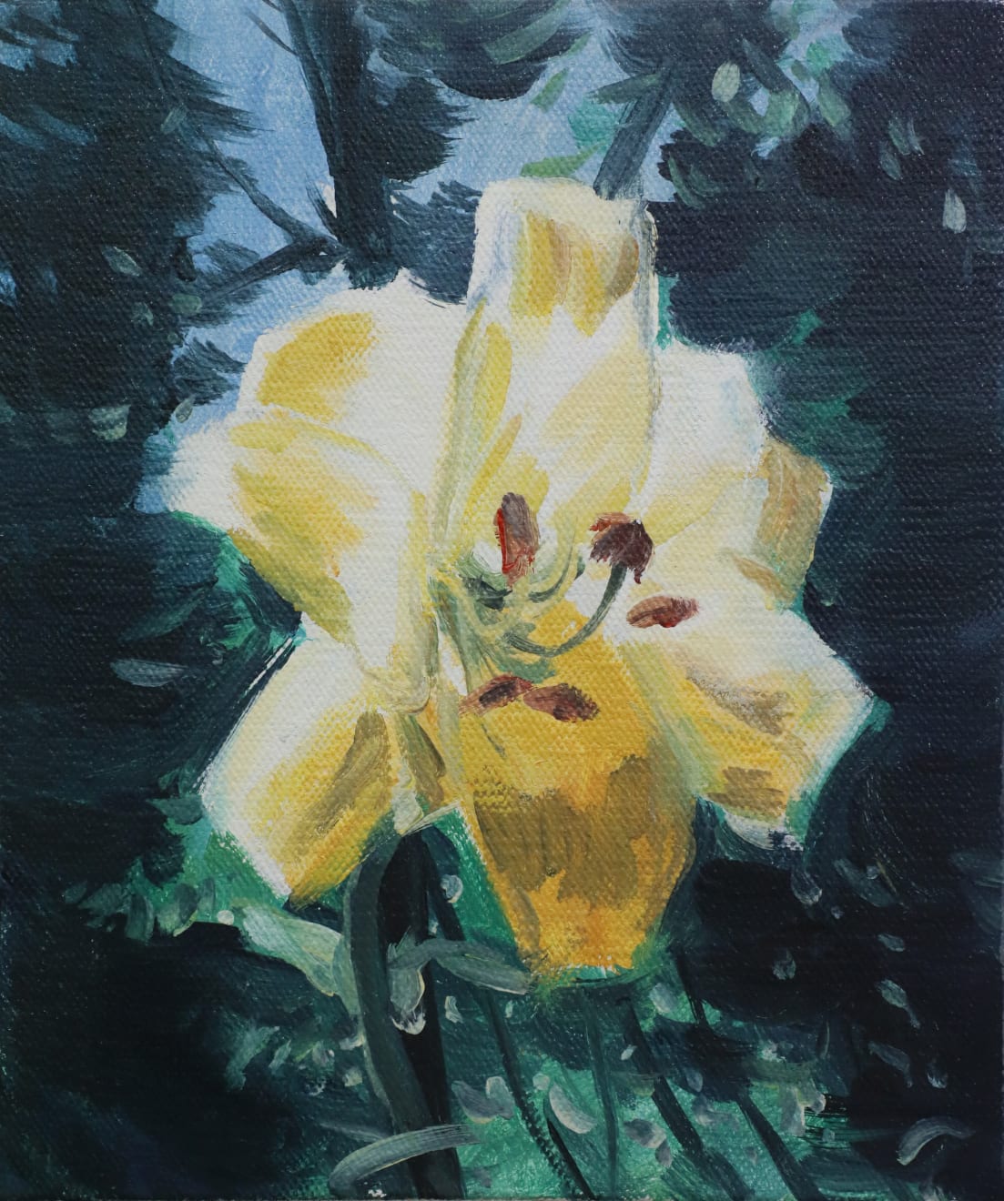 马文婷 Ma Wenting, 荒野草图 The Draft of the Wild, 2018