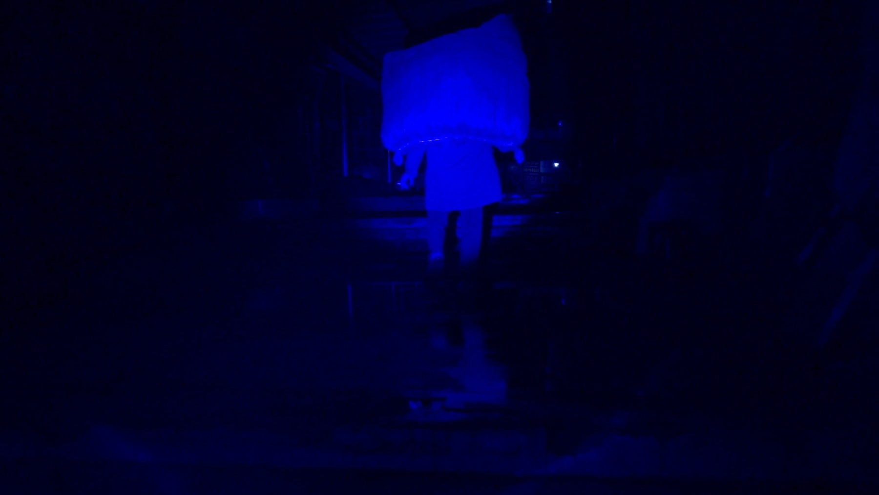 余果 Yu Guo, 斯坦尼康 | STEADICAM, 2016