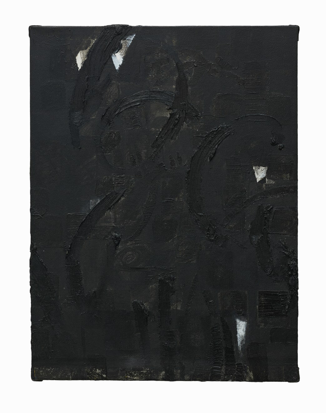 王俊 Wang Jun, 2017
