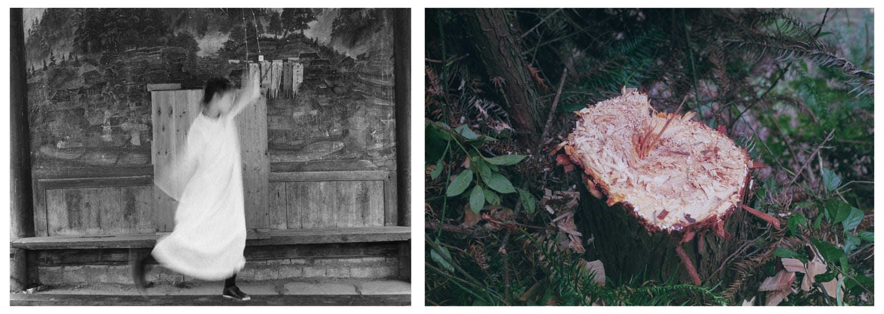 A diptych photograph from the section